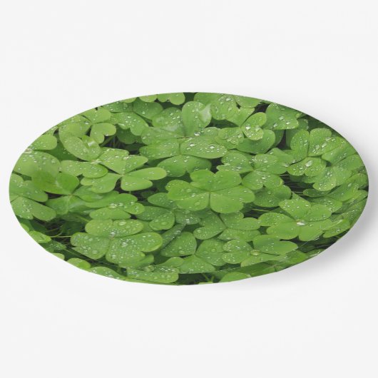 Groene verse shamrock, geluk Sint Patricks klaver Papieren Bordje (Gekanteld)