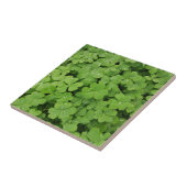 Groene verse shamrock, geluk Sint Patricks klaver Tegeltje (Zijkant)