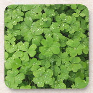 Groene verse shamrock, geluk St. Patricks pillow Bier Onderzetter