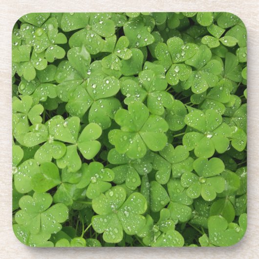 Groene verse shamrock, geluk St. Patricks pillow Bier Onderzetter (Voorkant)