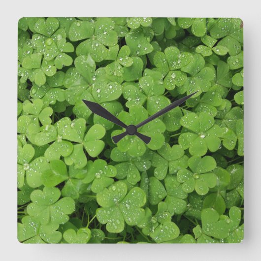 Groene verse shamrock, geluk St. Patricks Vierkante Klok (Voorkant)