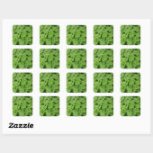 Groene verse shamrock, geluk St. Patricks Vierkante Sticker (Vel)