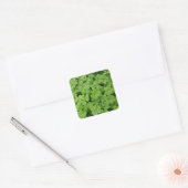 Groene verse shamrock, geluk St. Patricks Vierkante Sticker (Envelop)