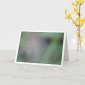 Groene vervaging achtergrond kaart (Gele Bloem)