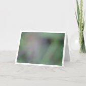 Groene vervaging achtergrond kaart (Voorkant)