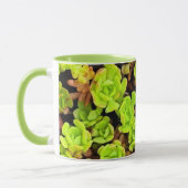 Groene vetplant bloemen mok (Links)