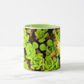 Groene vetplant bloemen mok (Midden)