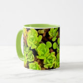 Groene vetplant bloemen mok (Voorkant links)