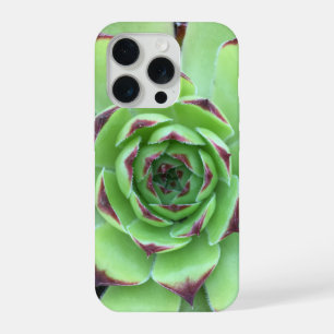 Groene vetplant met paarse punten Close-up foto iPhone 15 Pro Case