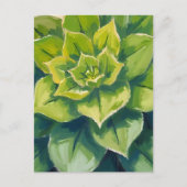 Groene vetplant schilderij briefkaart (Voorkant)