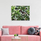 Groene vetplanten bloemen decoratieve fotografie canvas afdruk (Insitu (Woonkamer))
