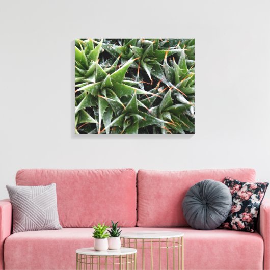 Groene vetplanten bloemen decoratieve fotografie canvas afdruk (Insitu (Woonkamer))