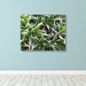 Groene vetplanten bloemen decoratieve fotografie canvas afdruk (Insitu (Houten vloer))