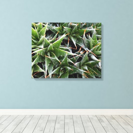 Groene vetplanten bloemen decoratieve fotografie canvas afdruk (Insitu (Houten vloer))
