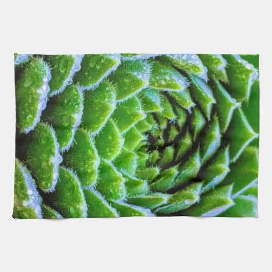 Groene vetplanten Natuur Fotografie Theedoek (Horizontaal)