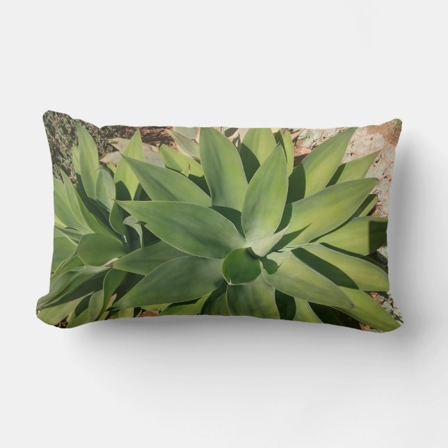 Groene vetplanten Worp Kussen Kussen (Voorkant)