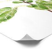 Groene vijgenbladeren waterverf poster (Hoek)