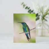 Groene Violet-ear Hummingbird Briefkaart (Staand voorkant)