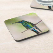 Groene Violet-ear Hummingbird Drankjes Onderzetter (Linkerzijde)