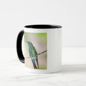 Groene Violet-ear Hummingbird Mok (Voorkant links)