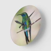Groene Violet-ear Hummingbird Ronde Klok (Hoek)