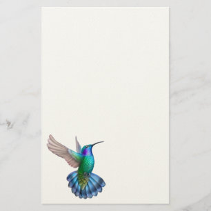 Groene Violet Eared Hummingbird Stationery Briefpapier