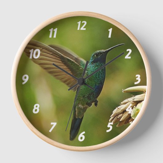 Groene Violet Oar Wall klok (Voorkant)