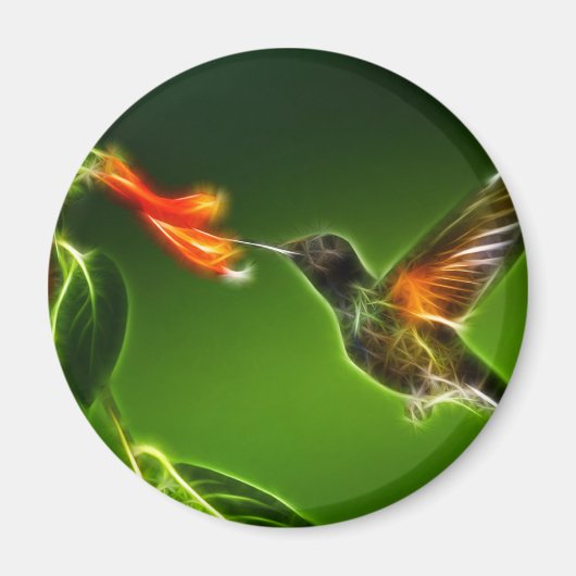 Groene Violetar Hummingbird Magneet (Voorkant)