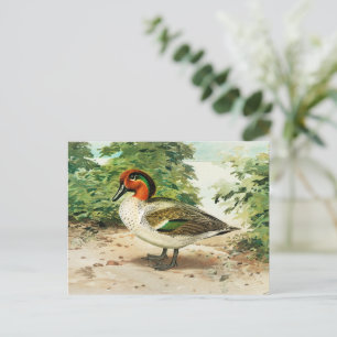 Groene vleugeltaling briefkaart