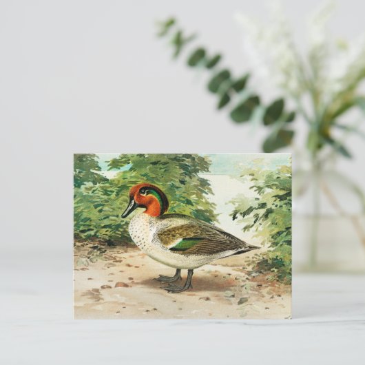 Groene vleugeltaling briefkaart (Staand voorkant)