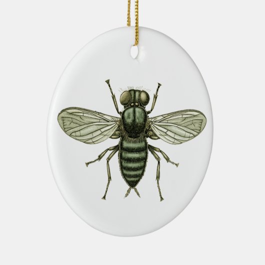 groene vlieg keramisch ornament (Rechts)