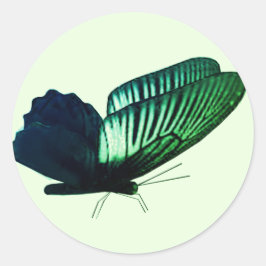 Groene vlinder envelop afdichtingen ronde sticker