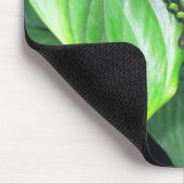 Groene vlinder muismat (Hoek)