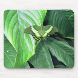 Groene vlinder muismat