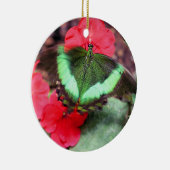 Groene Vlinder Natuur Ornament (Rechts)