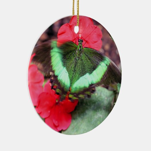 Groene Vlinder Natuur Ornament (Rechts)