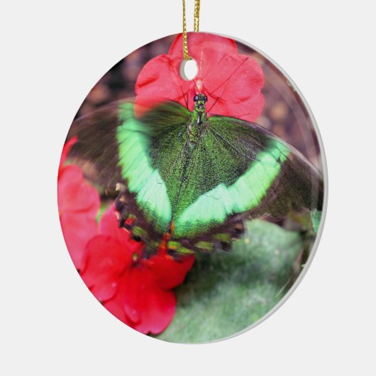 Groene Vlinder Natuur Ornament (Links)