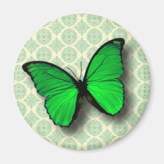 Groene Vlinder op Patroon Magneet (Voorkant)