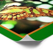 Groene vlinder Posing Abstract Poster (Hoek)