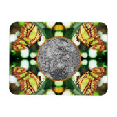 Groene Vlinder Posing Lijst Creëer Je eigen foto Magneet (Horizontaal)