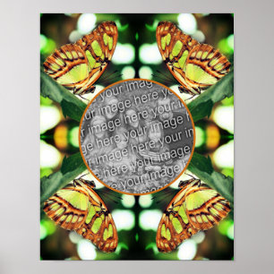 Groene Vlinder Posing Lijst Creëer Je eigen foto Poster