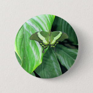 Groene vlinder ronde button 5,7 cm