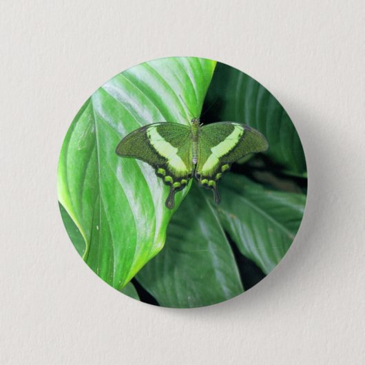 Groene vlinder ronde button 5,7 cm (Voorkant)
