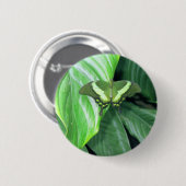 Groene vlinder ronde button 5,7 cm (Voorkant /achterkant)