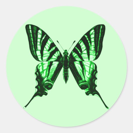 Groene Vlinder Sticker (Voorkant)