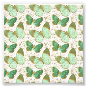 Groene Vlinder Witte Bloem Bloesem Foto Afdruk