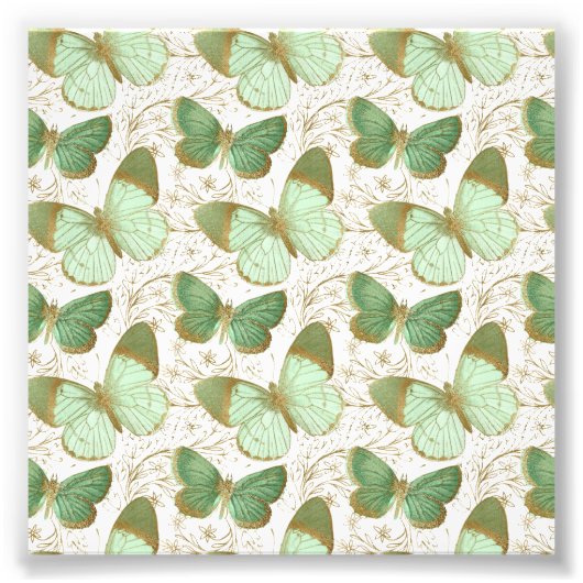 Groene Vlinder Witte Bloem Bloesem Foto Afdruk (Voorkant)