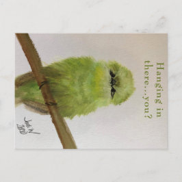 Groene vogel ansichtkaart "Hou je staande...en jij Briefkaart
