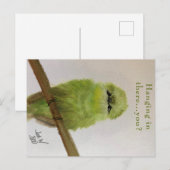 Groene Vogel Ansichtkaart "Hou je taai...en jij? Briefkaart (Voorkant / Achterkant)