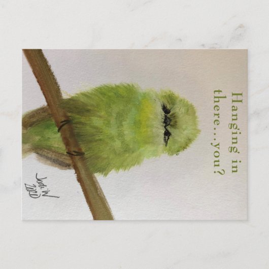Groene Vogel Ansichtkaart "Hou je taai...en jij? Briefkaart (Voorkant)